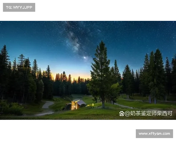 永歌森林探秘之旅 揭开时空之门 让你感受大自然的神秘与奇幻